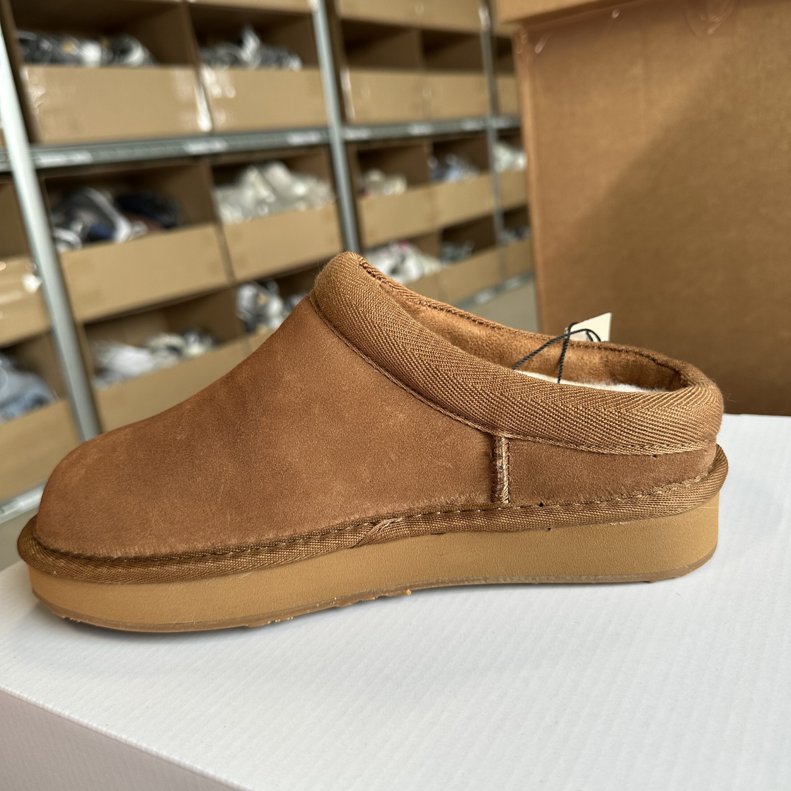 Roberto Rosso - Cabot Camel
