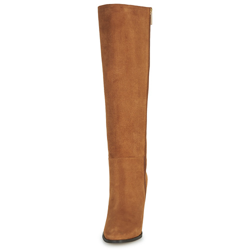 Fericelli - AMSONIA Camel