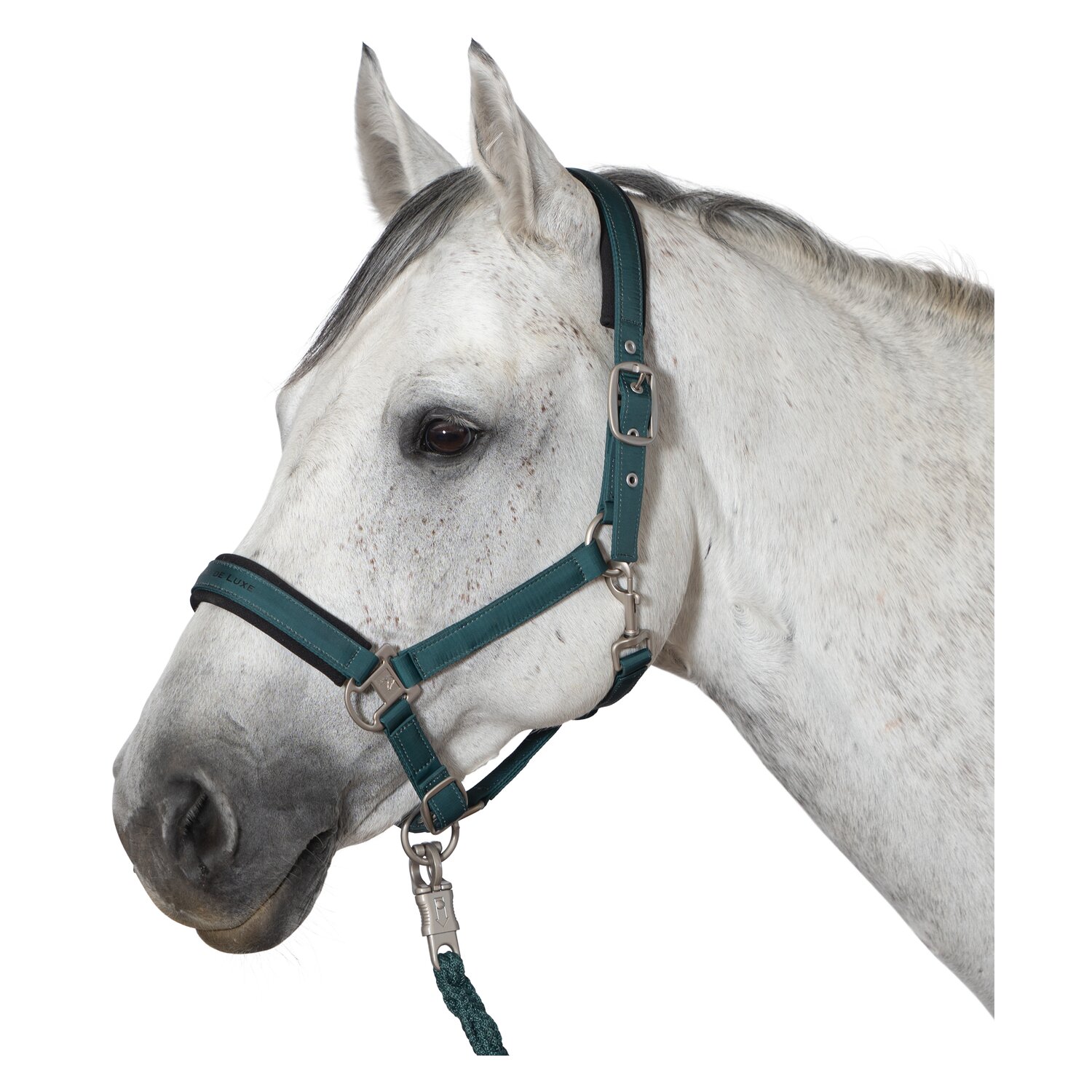 Cheval de Luxe Halfter  - deep emerald