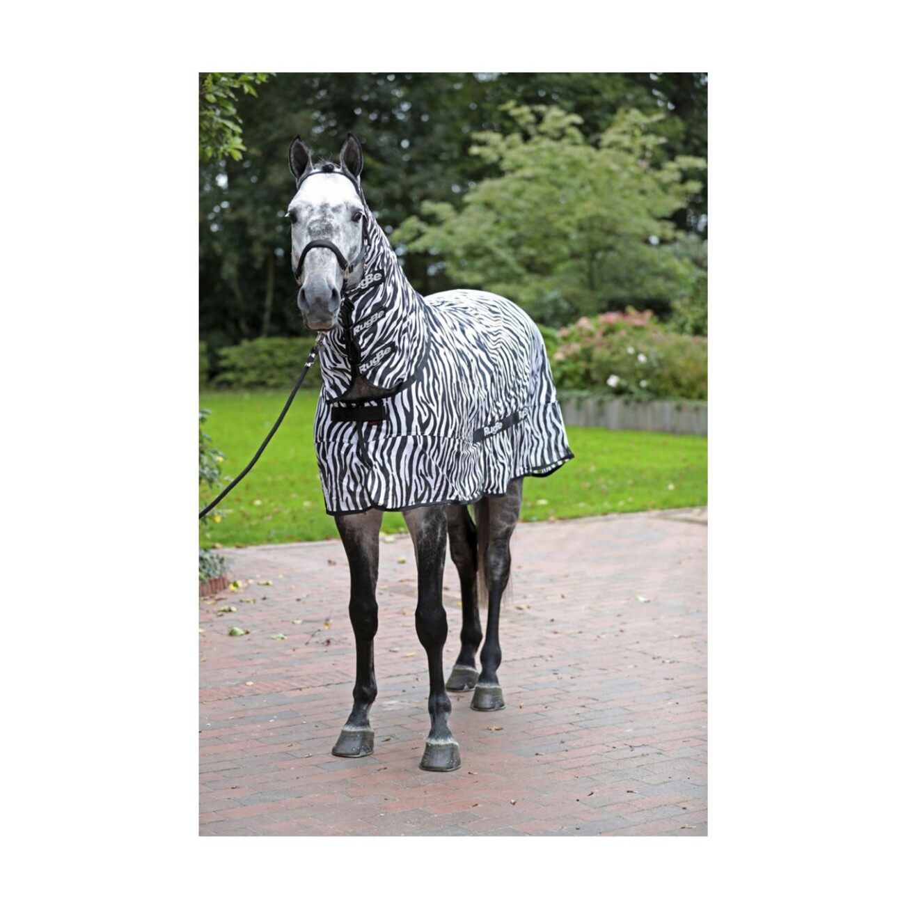 Covalliero Fliegendecke RugBe Zebra 1,95 m