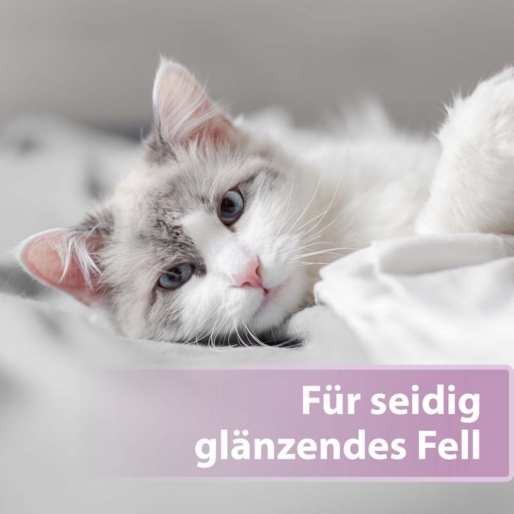 Felisept® Fellpflege Spray für Katzen