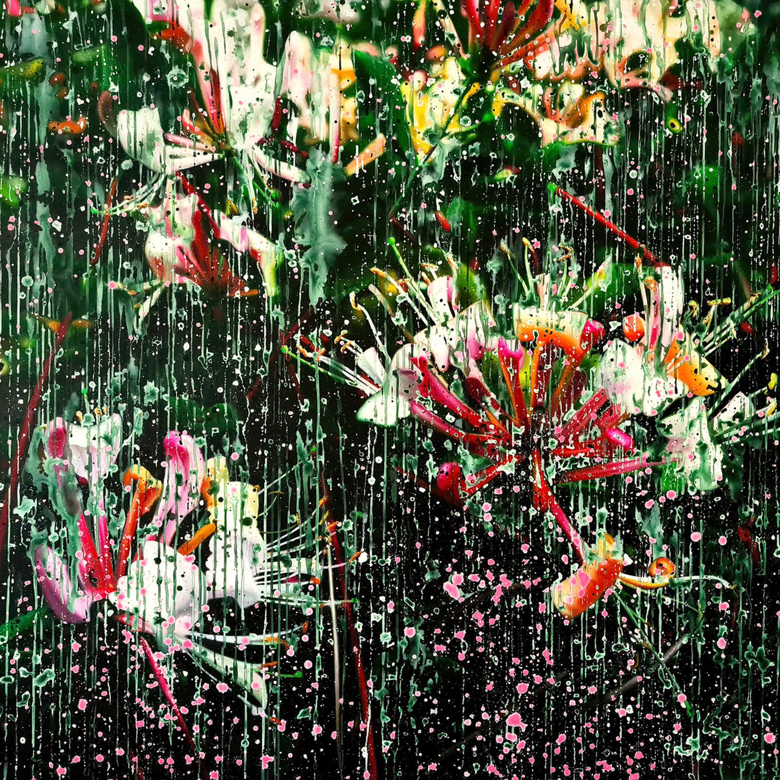 Lonicera Caprifolium Darkgreen 01 by An Doan Nguyen - Limited Edition. Edition of: 150. Signed.