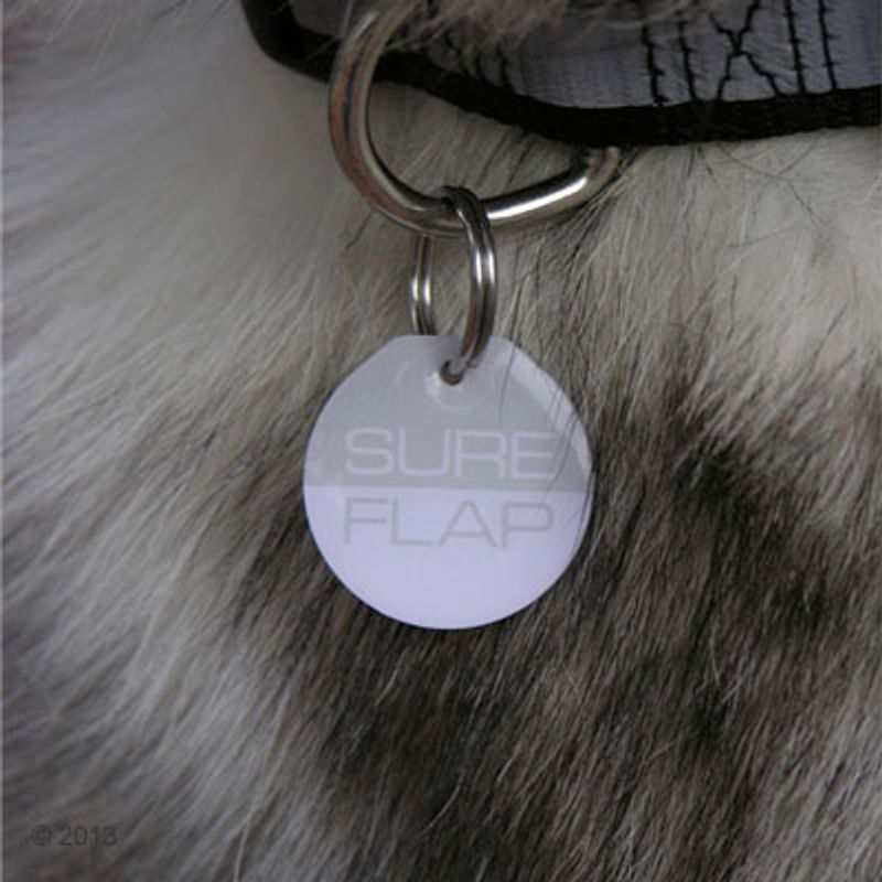 Chatière SureFlap XXL, lecteur de puces, marron