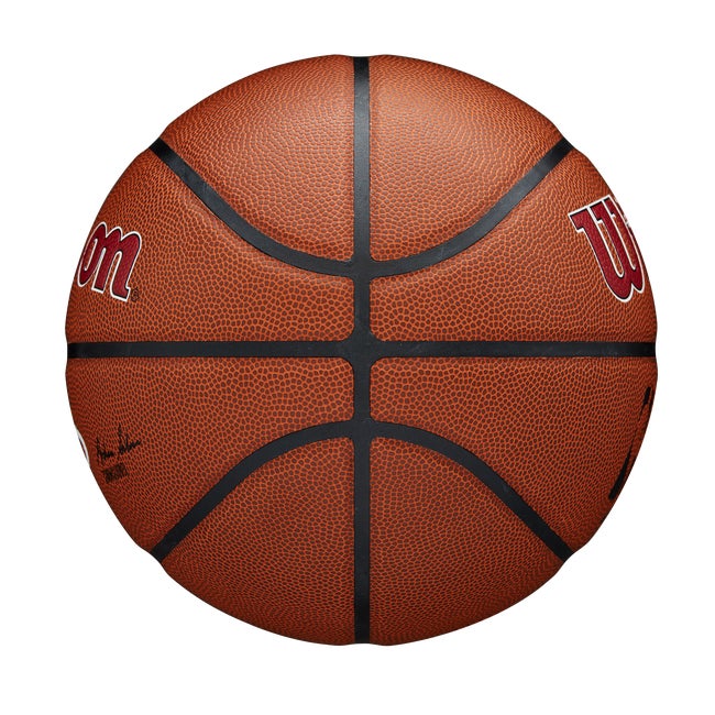 NBA Team Alliance Basketball