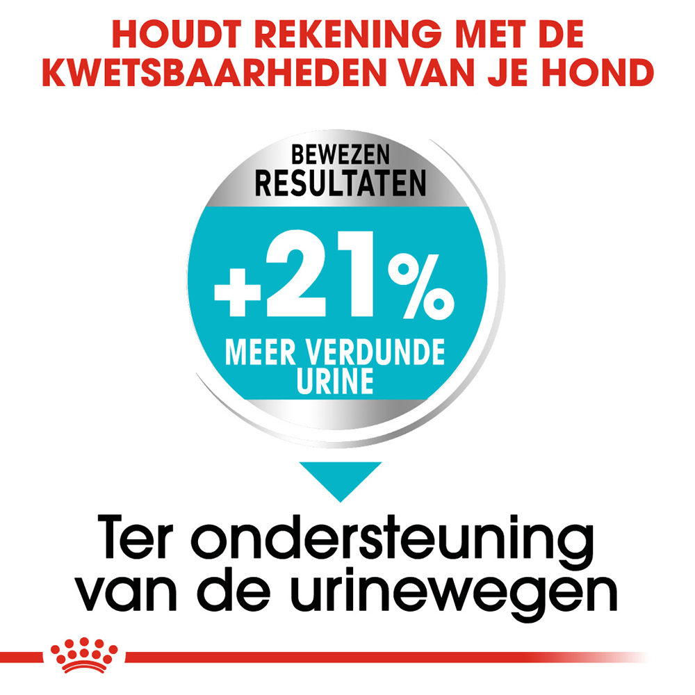 Royal Canin Mini Urinary Care - Hondenvoer