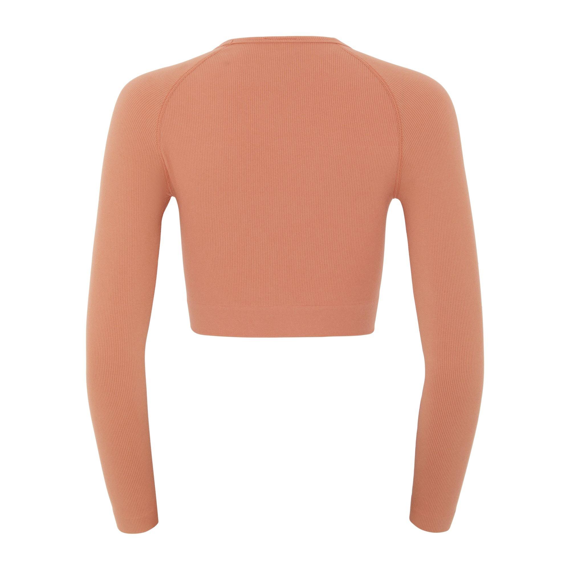 HIIT Seamless Ribbed Long Sleeve Cropped Top