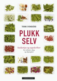 Plukk selv; sanketips og oppskrifter