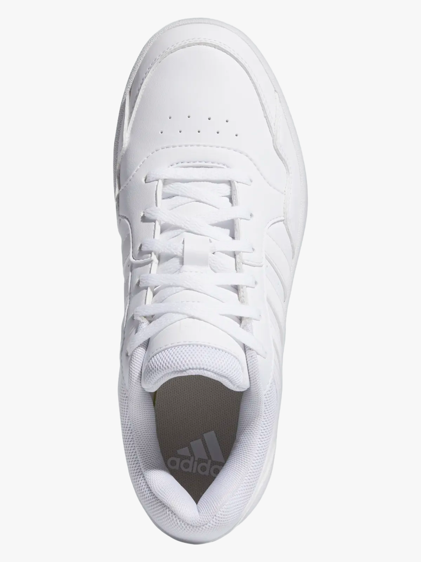 Hoops 3.0 Bold
