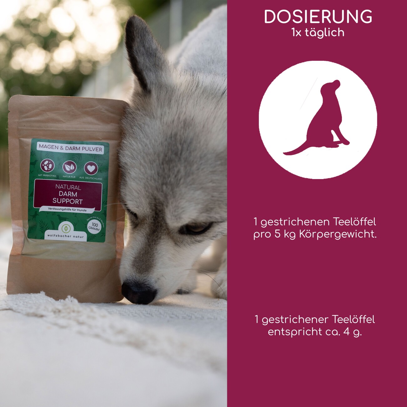 Wolfsbacher Natur Magen & Darm Pulver