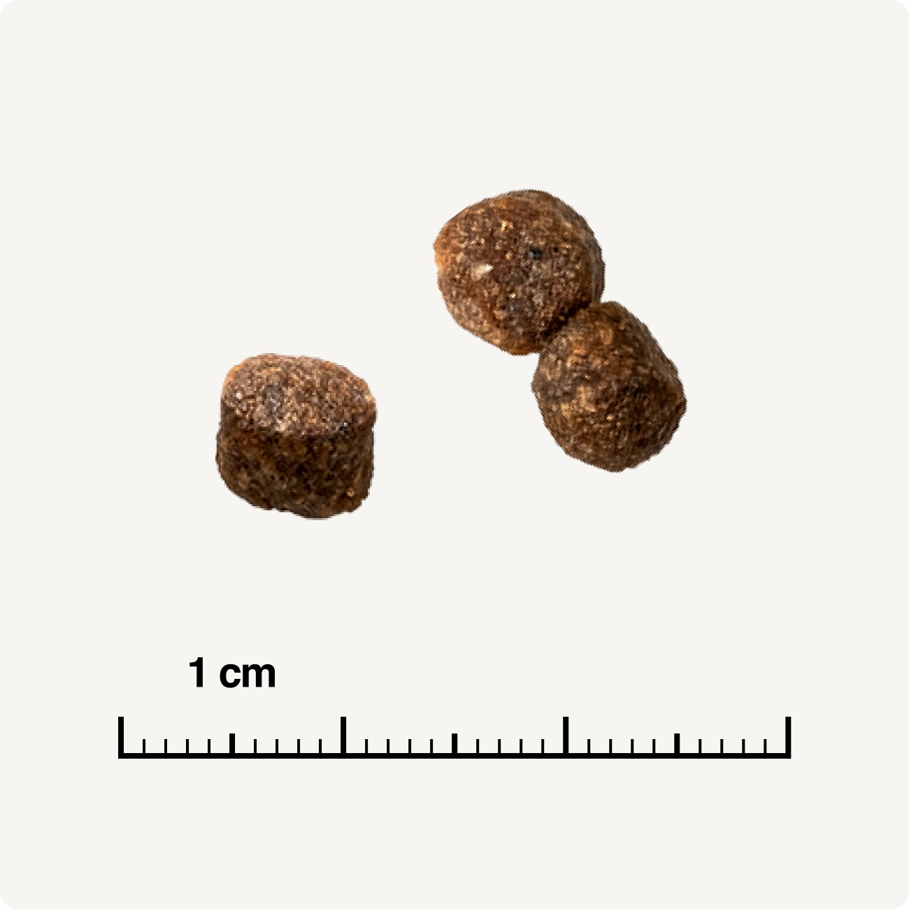 REAL NATURE WILDERNESS Trockenfutter Katze, Kitten, Pure Beef 300 g