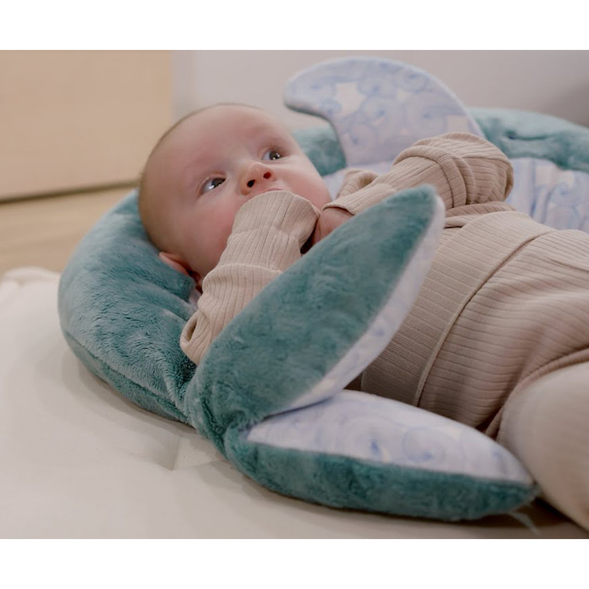 Grande peluche 2 en 1 apaisante dauphin