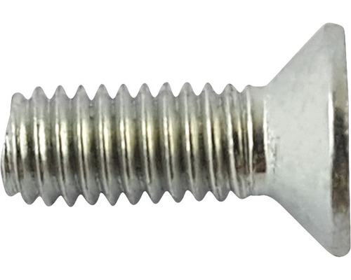 Verzonken schroef staal M3 x 6 mm Verpakking = 20 stuks