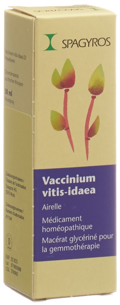 Spagyros Vaccinium vitis-idaea Glyc Maz 1 D Spr 30 ml