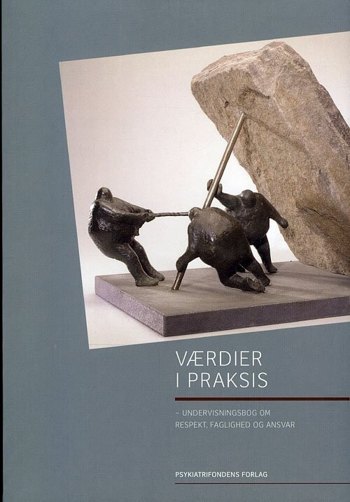 Værdier I Praksis - Psykiatrifonden - Bog