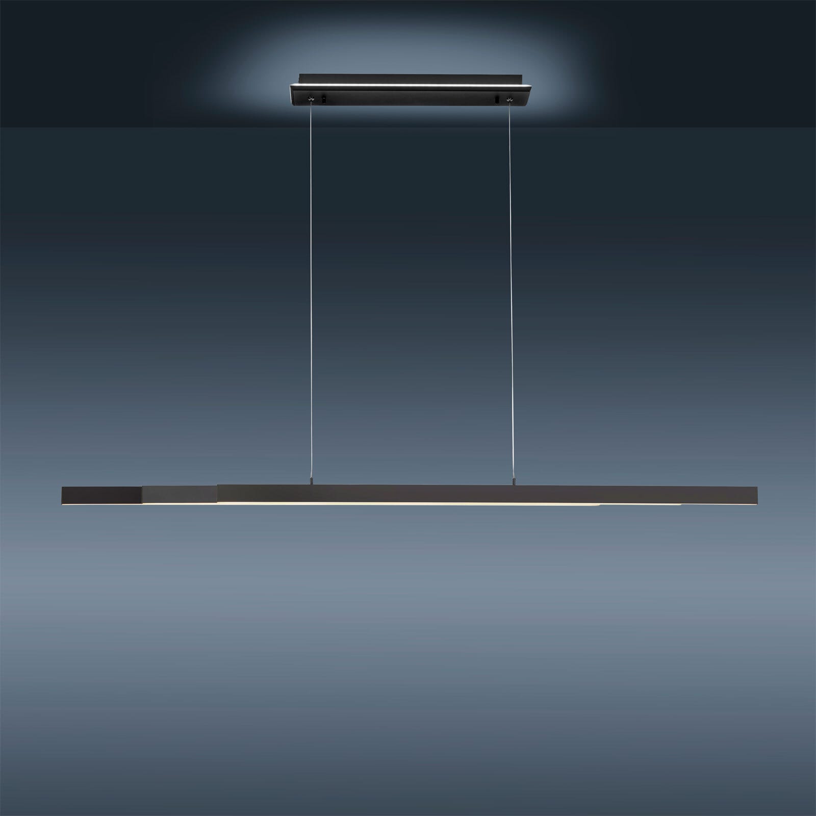 Paul Neuhaus LED Pendellampe Q-ARIAN 179 cm