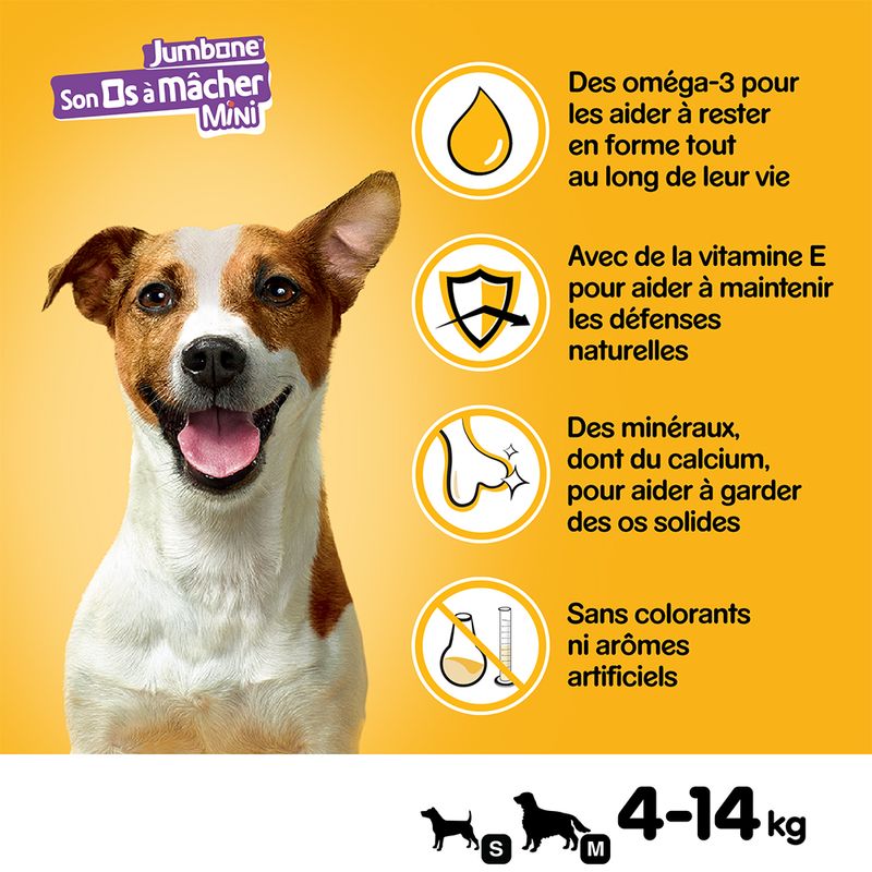 Son Os à mâcher Pedigree Mini