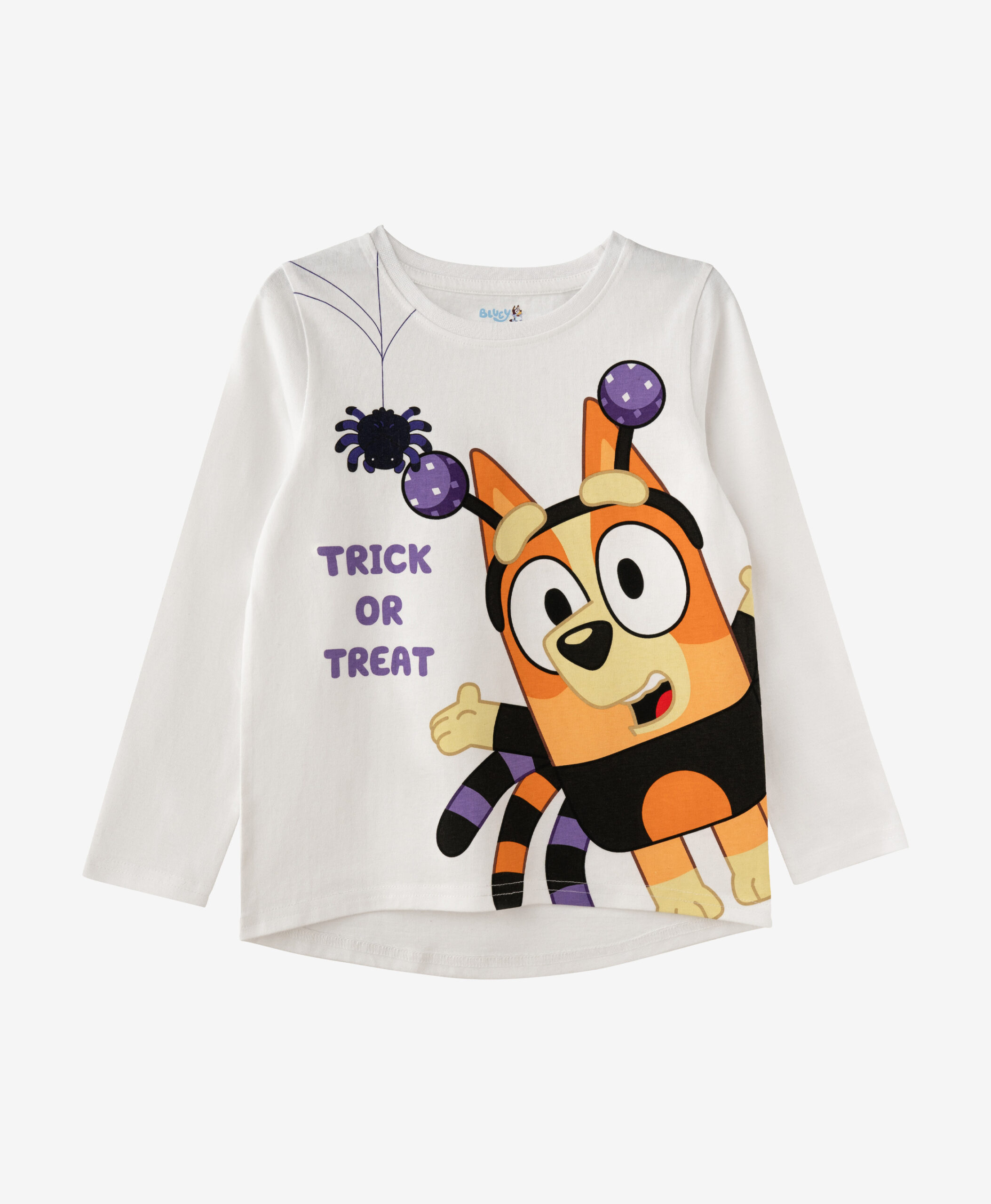 Sweatshirt, 100% Baumwolle