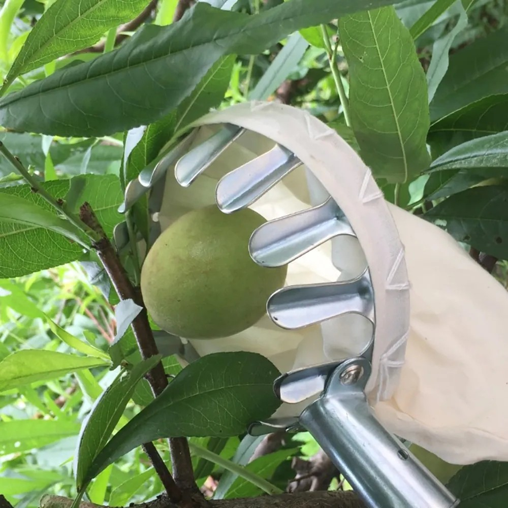 (Ø15cm) Obst Pflücker mit Stoff Beutel Outdoor Garten Früchte Greifer für Äpfel / Orangen / Birnen