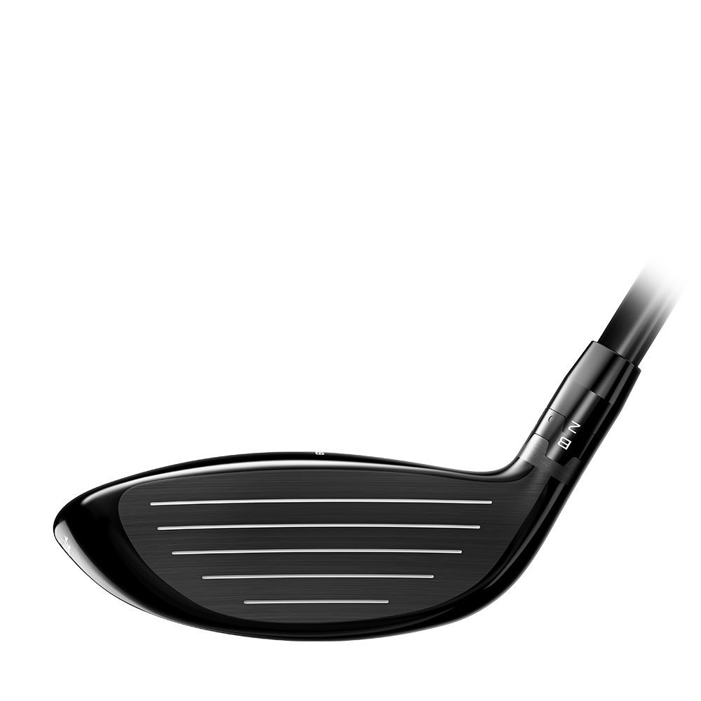 GT3 Wood Premium Skaft
