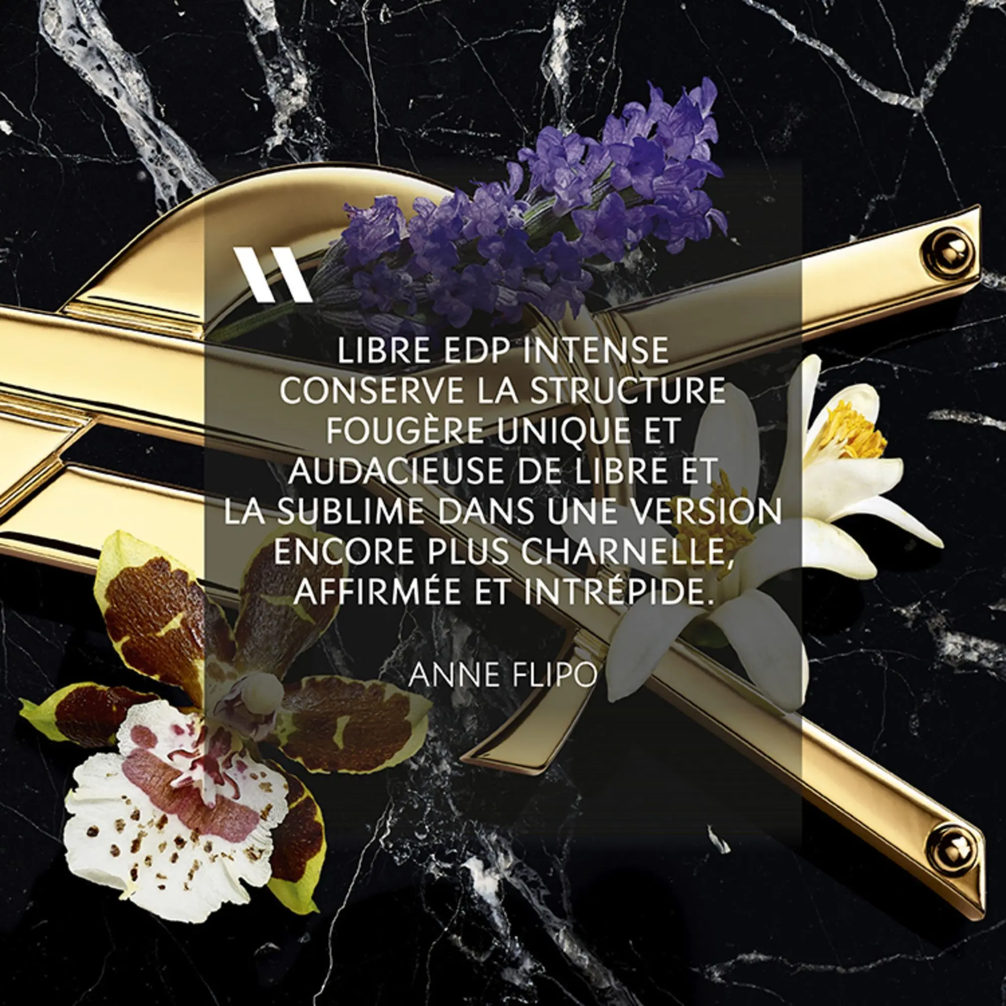 Yves Saint Laurent - Libre Eau De Parfum Intense- Eau de parfum
