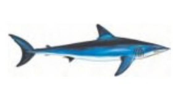 Mako Décal Mako environ 3 cm* 2 cm