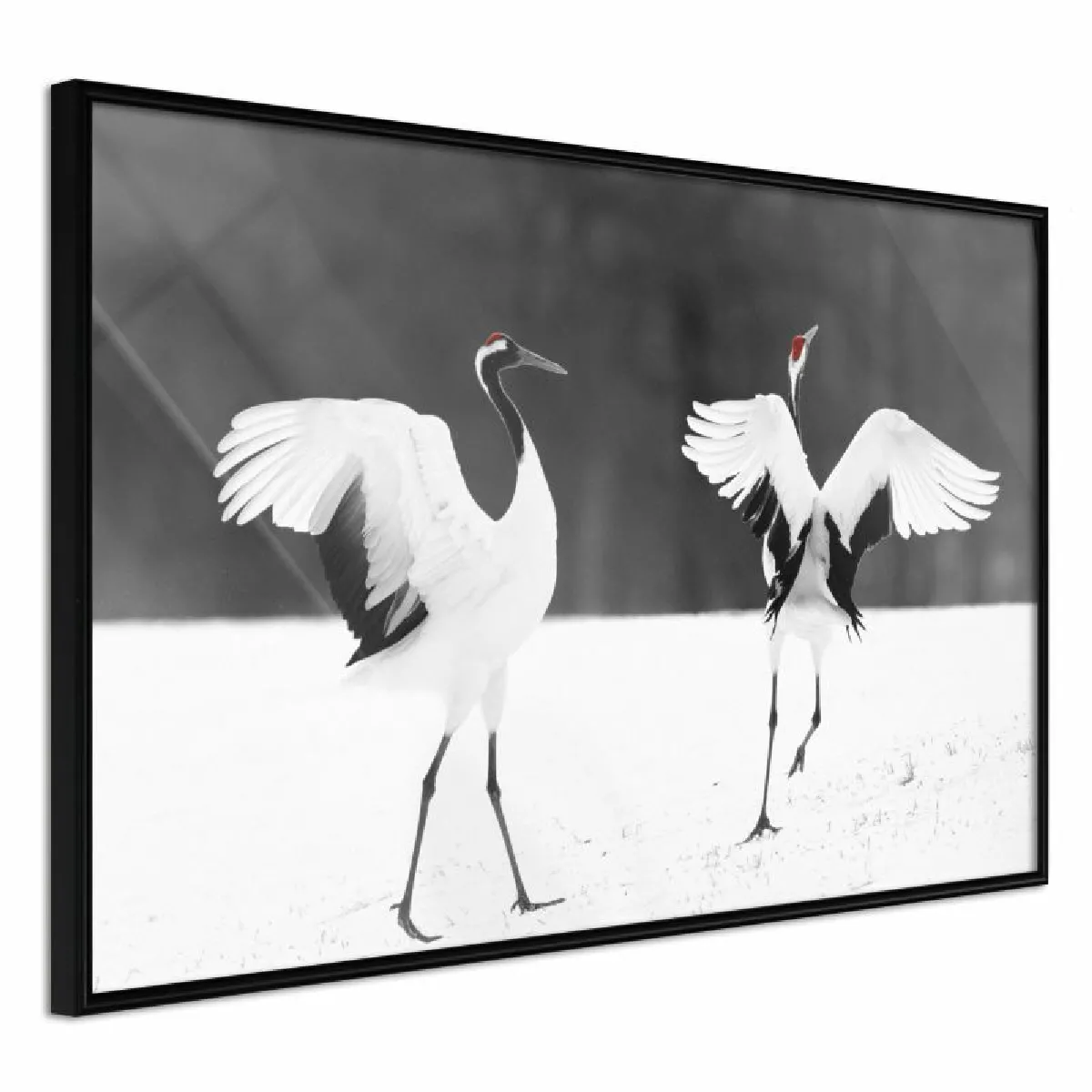 Paris Prix Affiche Encadrée Bird Date - 60x40 cm - Multicolore