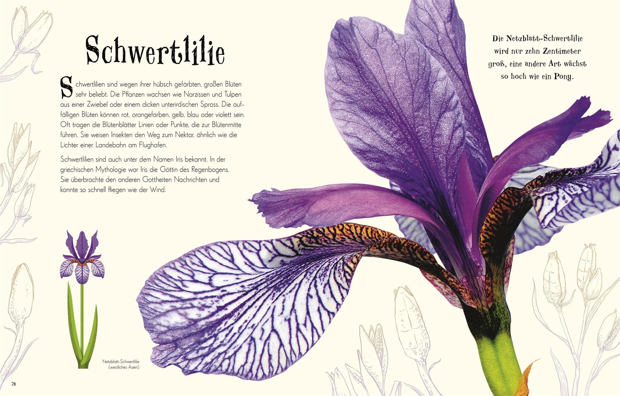 Wundervolle Welt der Natur / Wundervolle Welt Bd.2