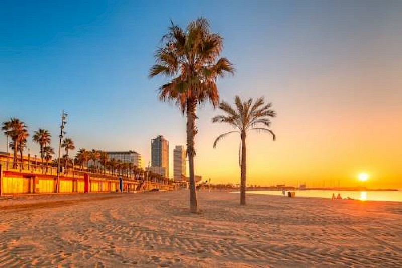 BCN Port