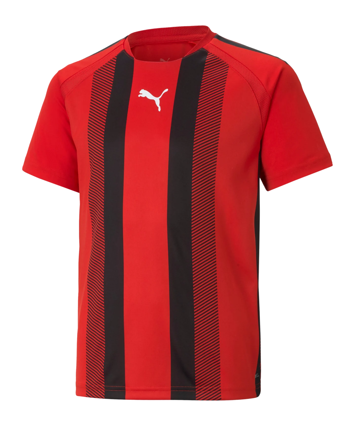 PUMA teamLIGA Striped Trikot Kids Rot Schwarz F01