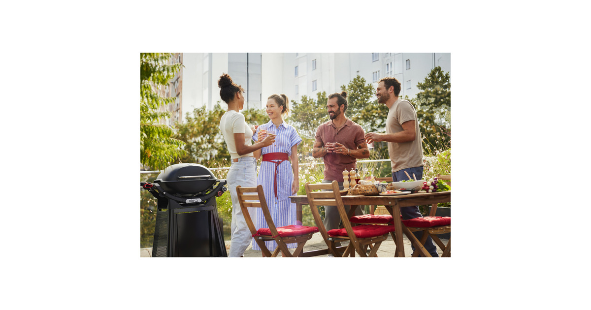 WeberQ 2800N+ gasbarbecue met onderstel  (Zwart, 2 Branders | Propaan/butaan)