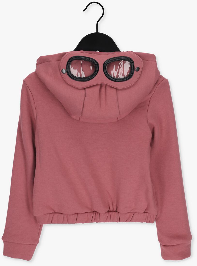 IKKS roze ikks trui sweat capuche