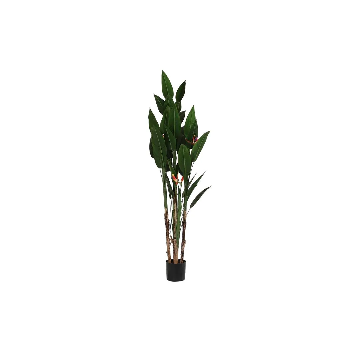DKD Home Decor DKD Plante Décorative Grand Format