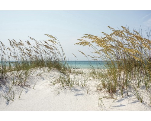Fotobehang vliesbehang 181022 Ocean Beach Dunes 7 stuks. 350x260cm