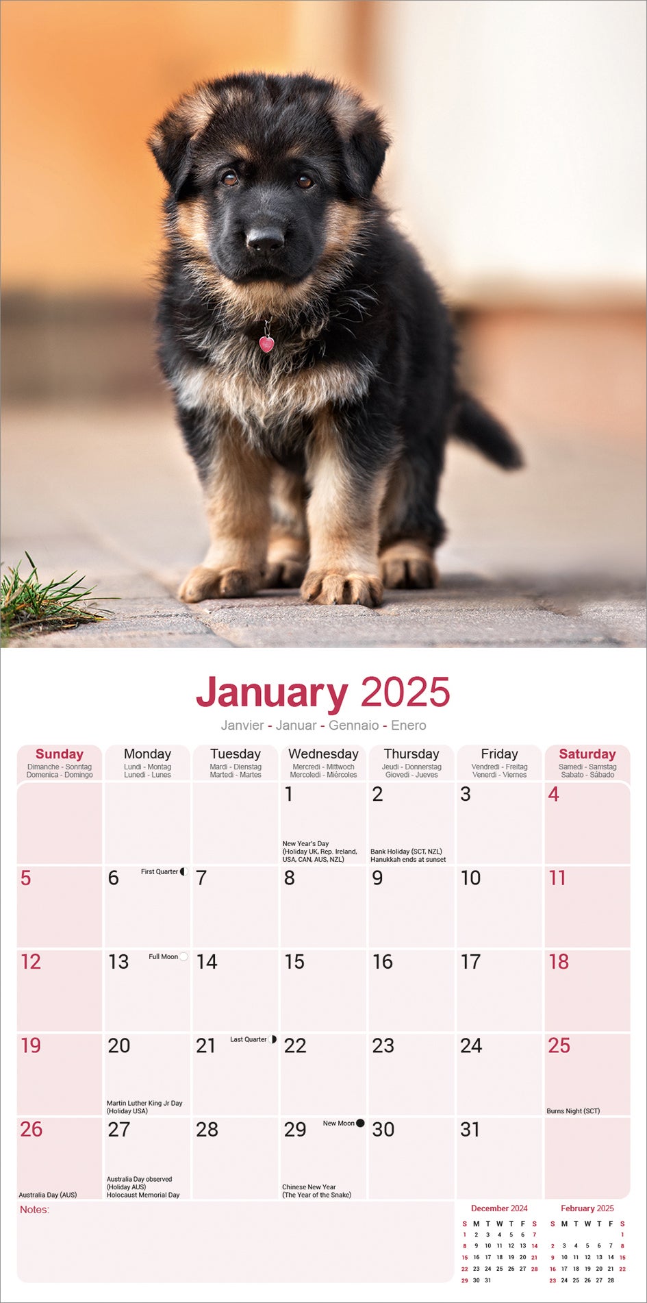 Plenty Gifts kalender duitse herder 30 x 30 x 0,5 cm