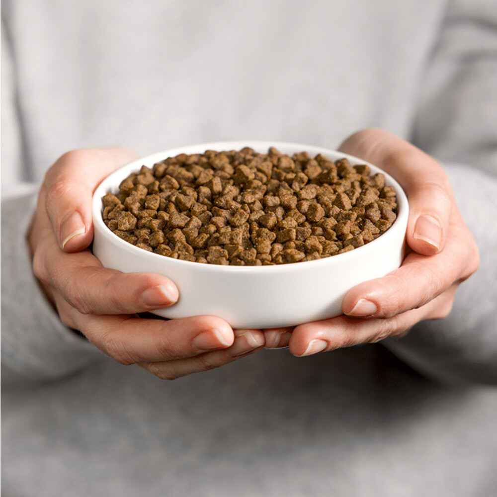Smolke Kattenvoer Senior Kip4 kg