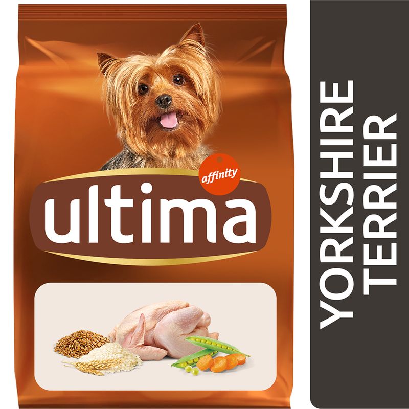 Ultima Dog Yorkshire