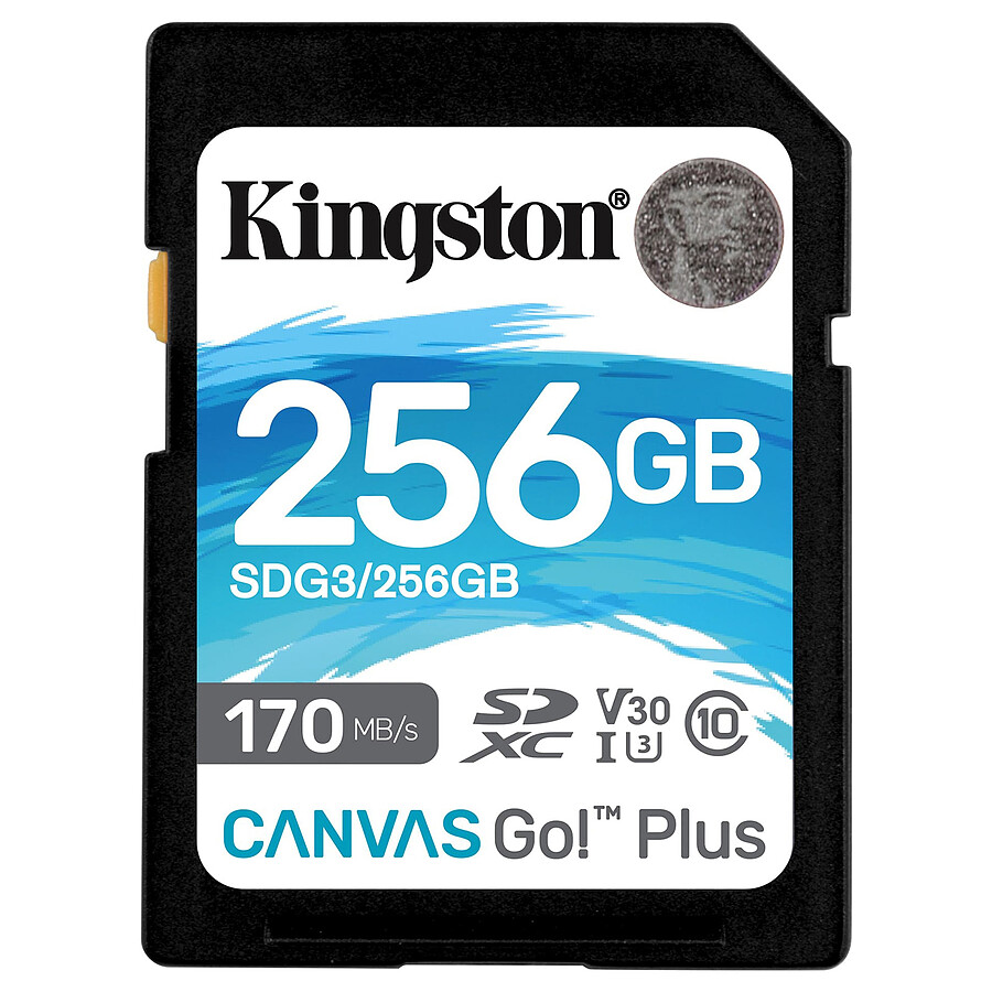 Kingston SD Plus Canvas Go! SDG3 - 256GB