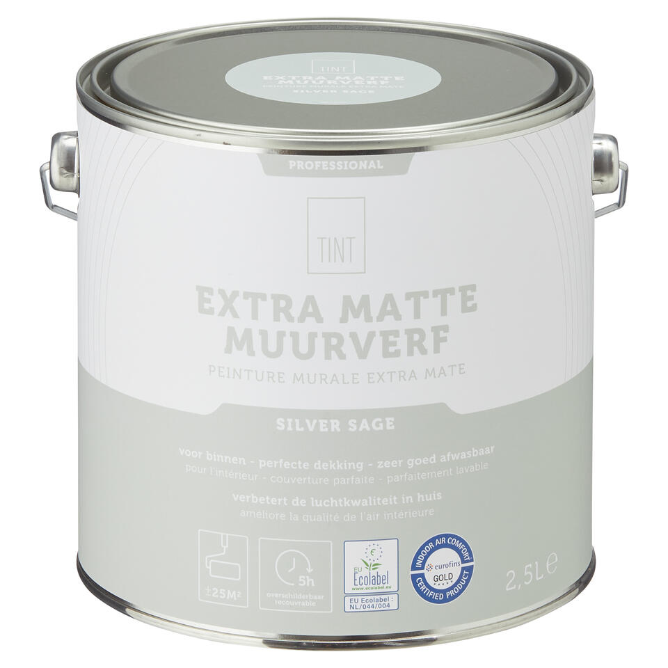 Muurverf Professional Silver Sage 2.5 l