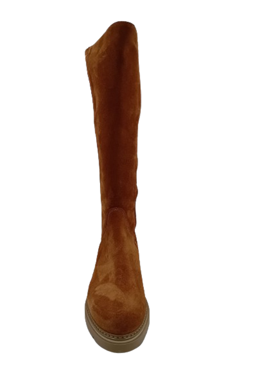 DL Sport 6379 Camel (vers 02)