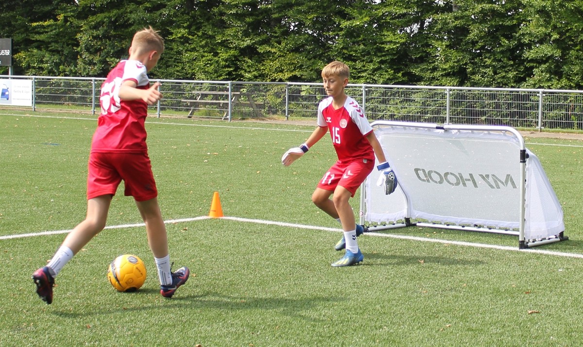 My Hood - Foldbart fodboldmål - Maxi (155 x 95 x 77cm)