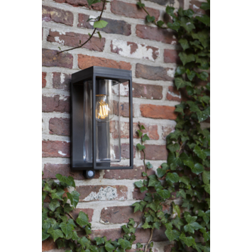 Lutec solar buitenwandlamp Flair met dag/nacht en bewegingssensor