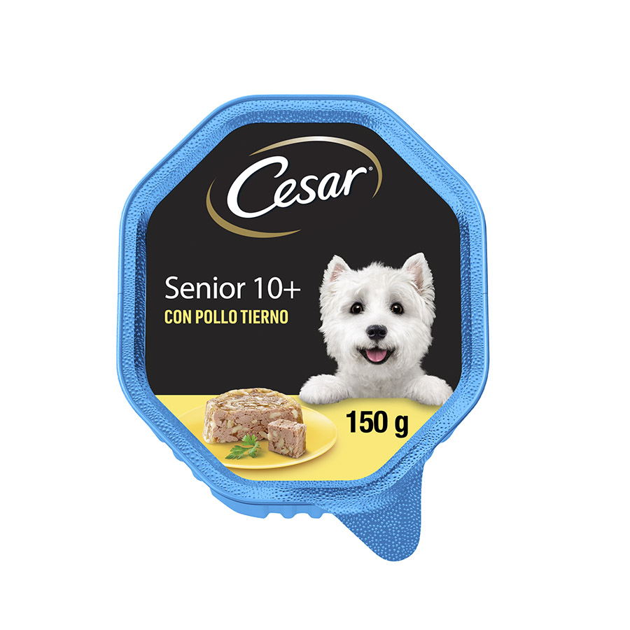 Pote de gelatina de frango e arroz Cesar para cães idosos