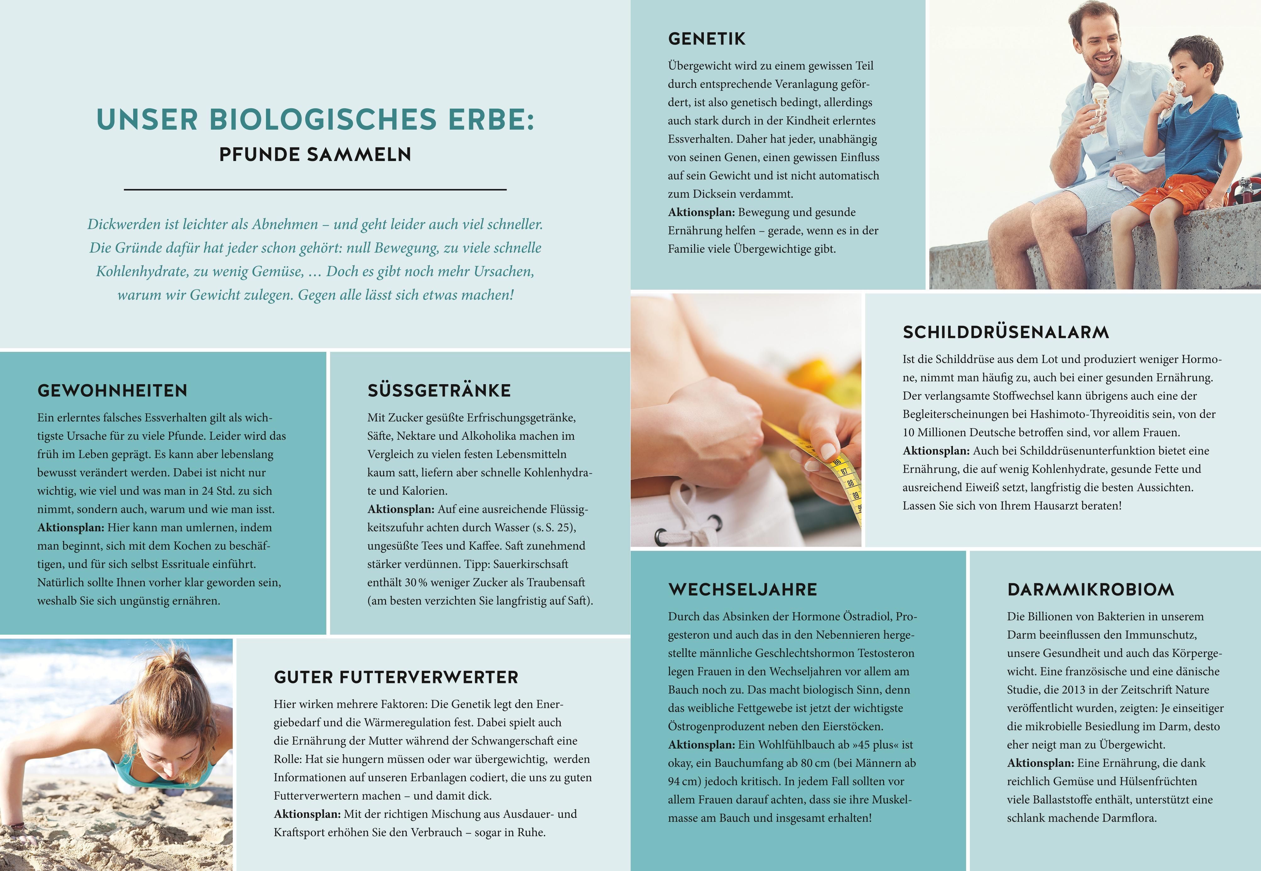 Dr. Riedls 20:80 Expressküche