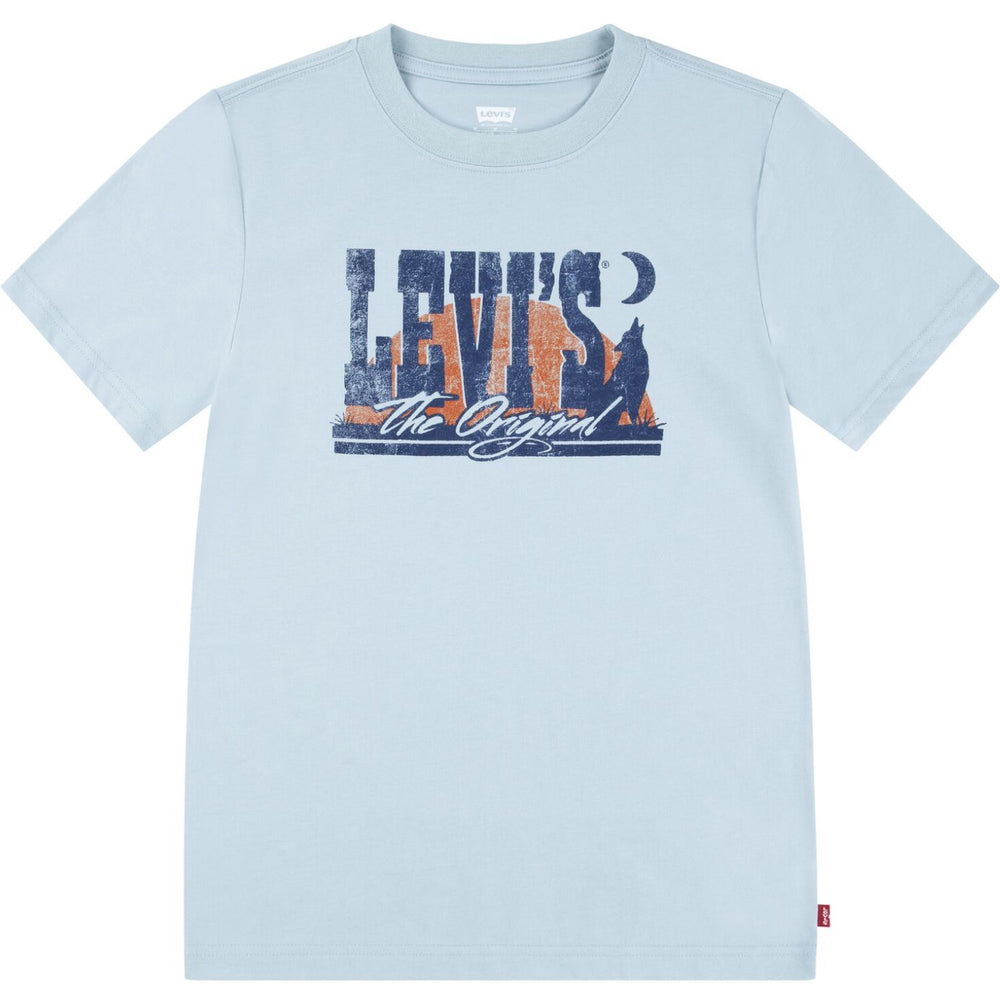 Køb Levi's Ether Lvb Desert At Dusk Tee