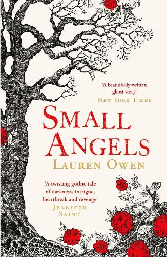 Small Angels (Paperback)
