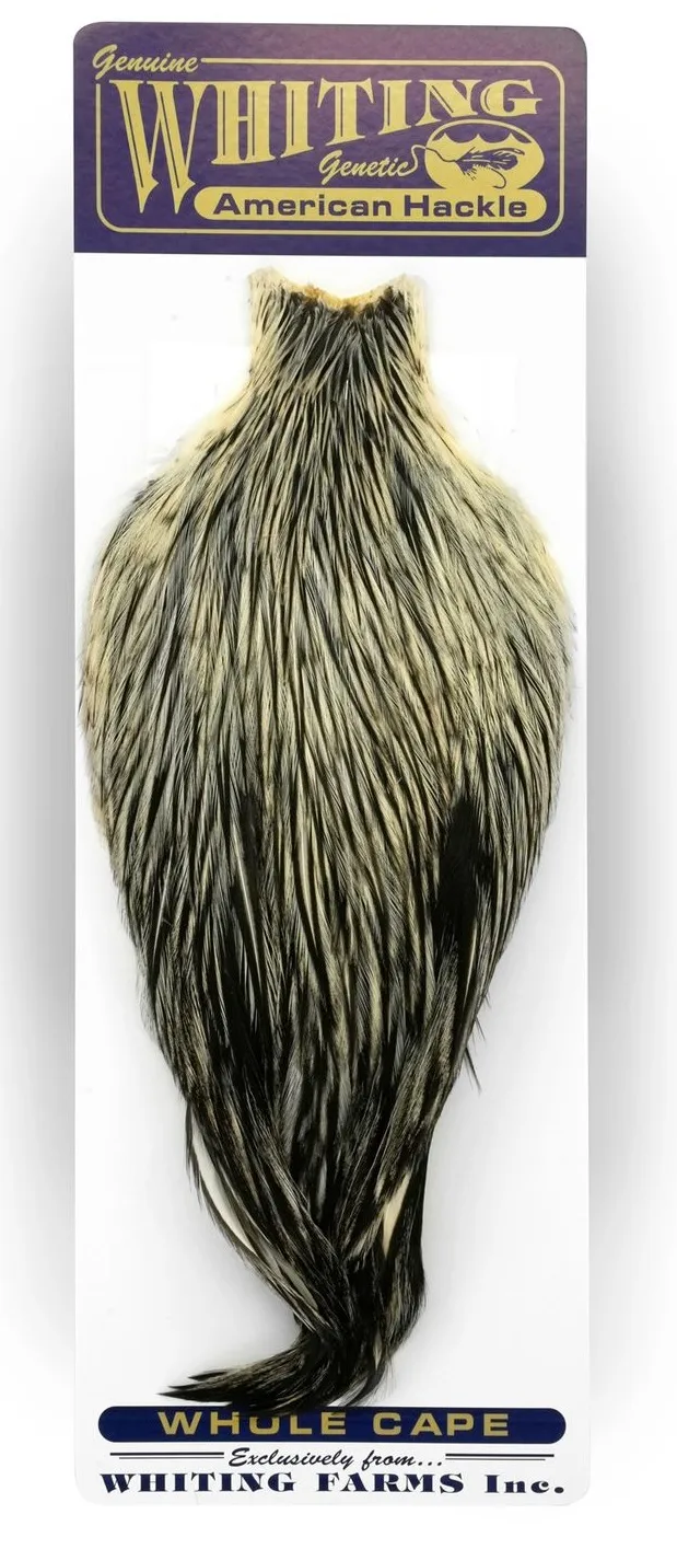 Whiting American Rooster Cape