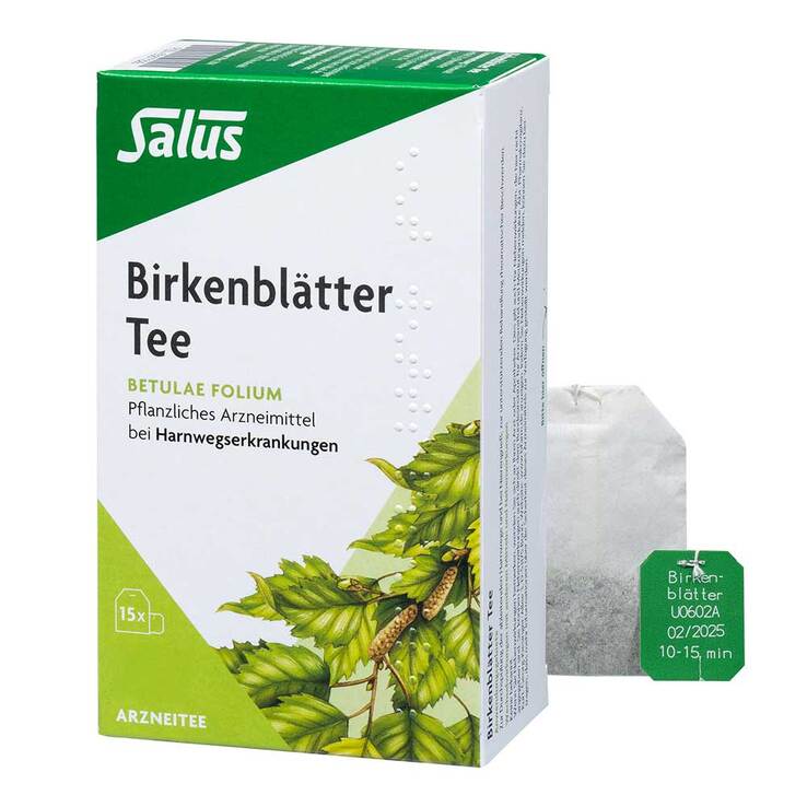 Birkenblätter Arzneitee Betulae folium Salus, 15 St