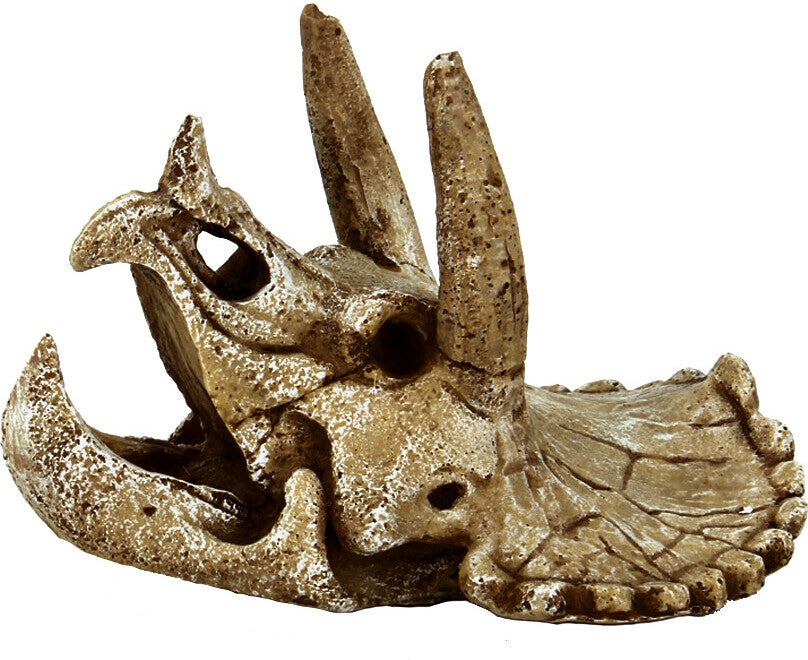 SuperFish aquarium decoratie schedel Triceratops beige 15,7 x 11,5 x 12,8 cm