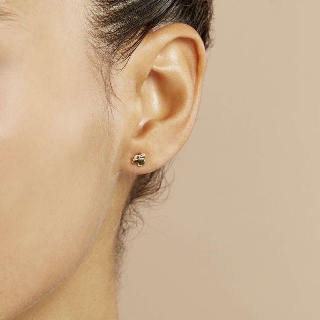 Boucles D'oreilles Puces Lapin Or Or Jaune