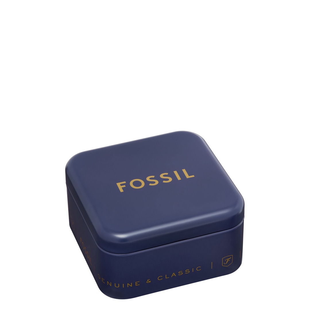 Fossil Sutton Schmuckset Schmetterling Silbrig
